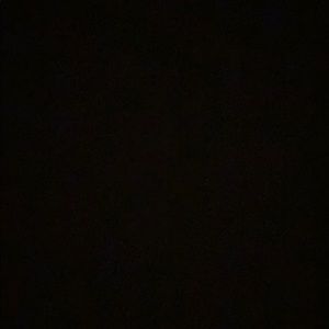 Meet your Posher, Reese